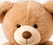 Lovely Bear