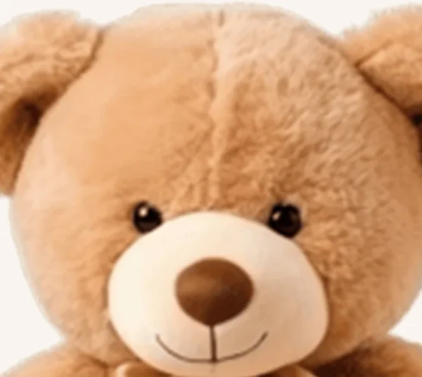 Lovely Bear
